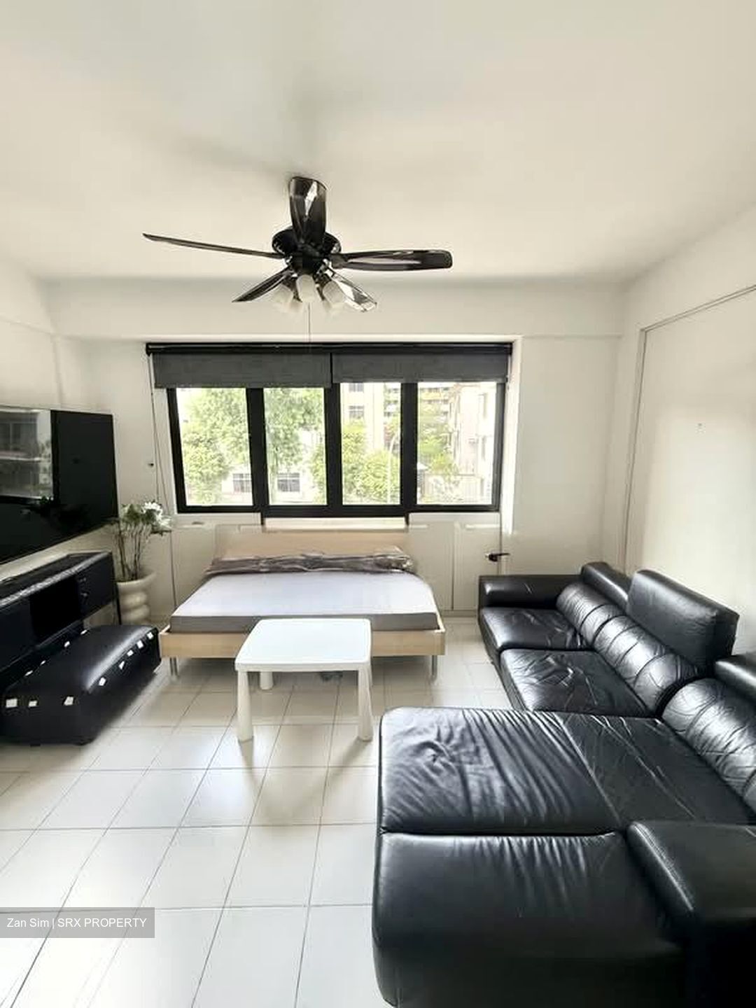 Bristol Lodge (D8), Apartment #575559361